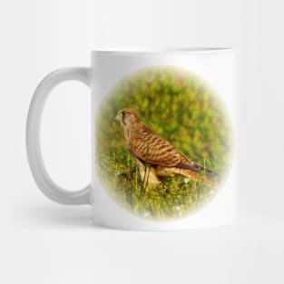 Kestrel Mug